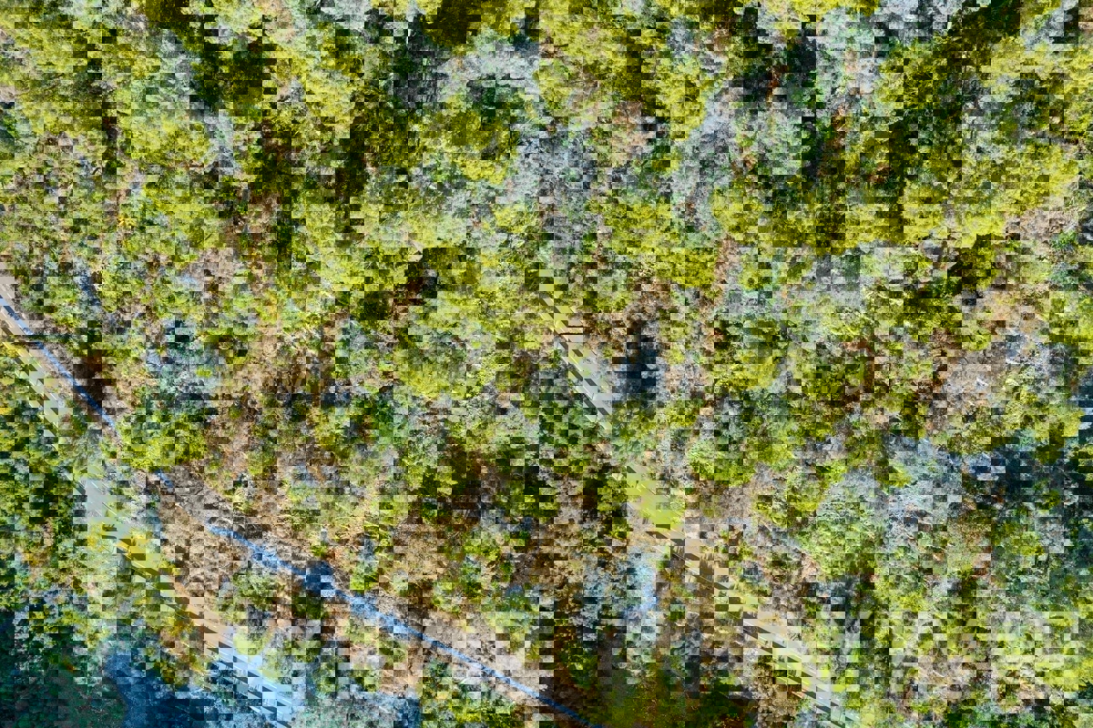 Kmetijska zemljišča v bližini trajektnega pristanišča