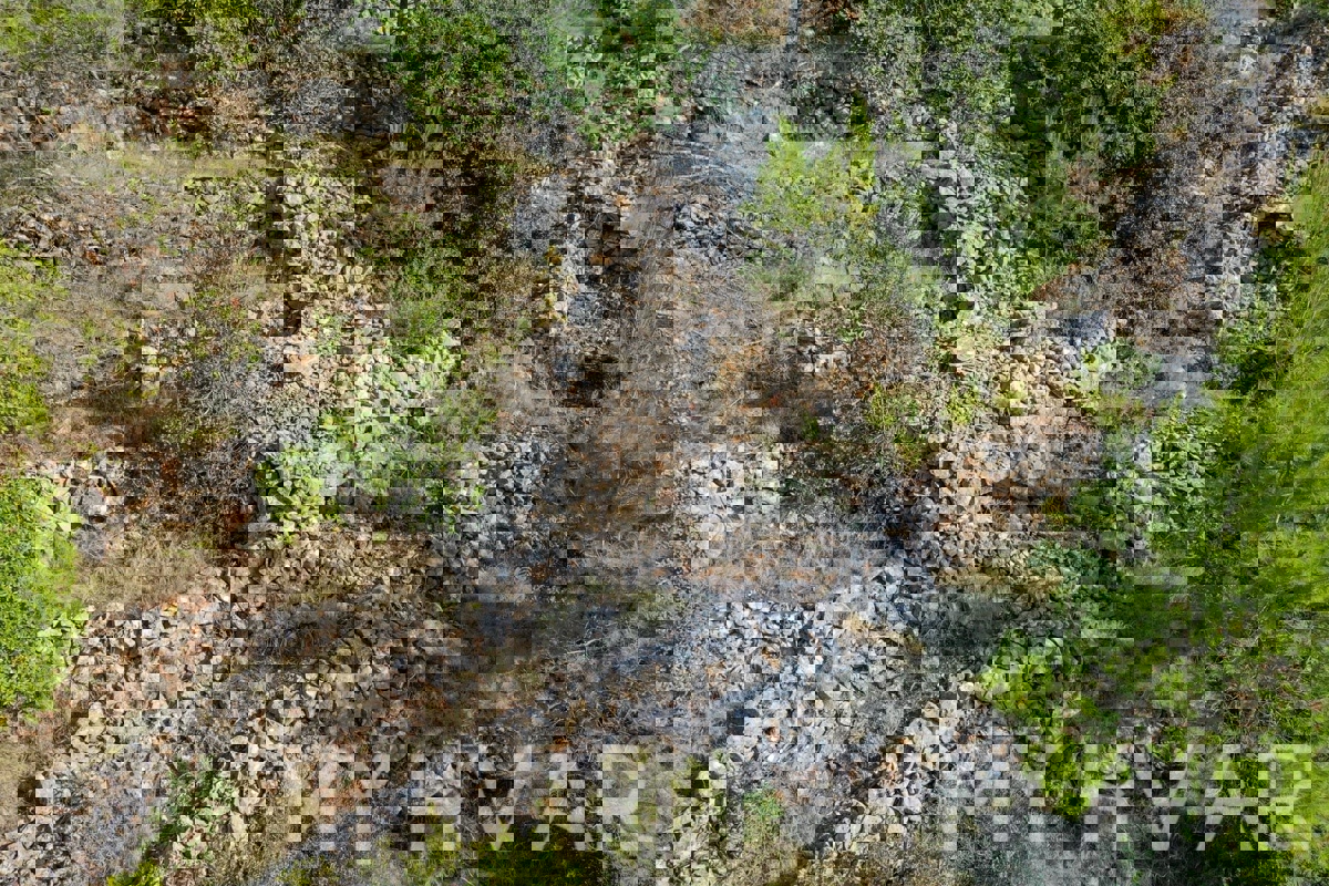 Kmetijska zemljišča v bližini trajektnega pristanišča