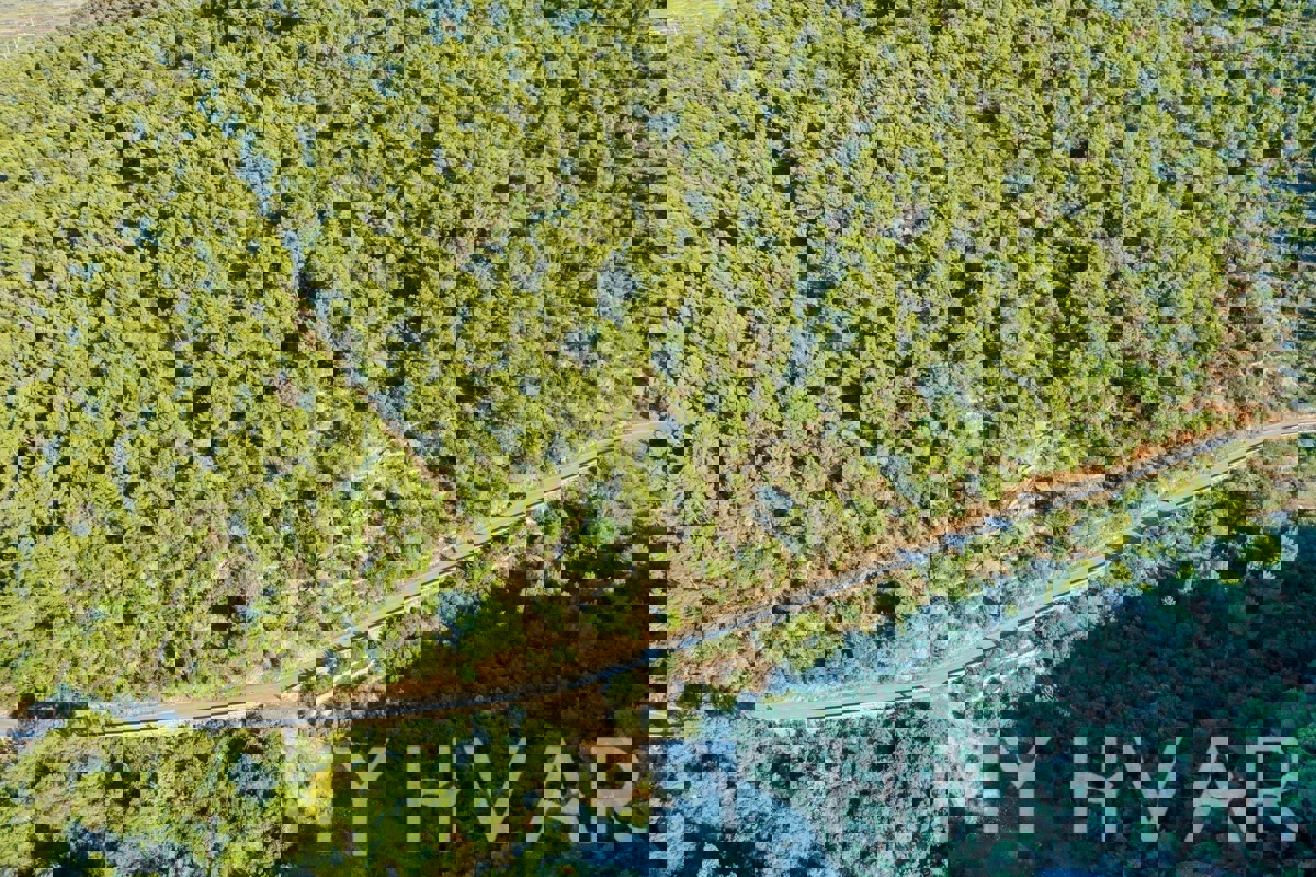 Kmetijska zemljišča v bližini trajektnega pristanišča