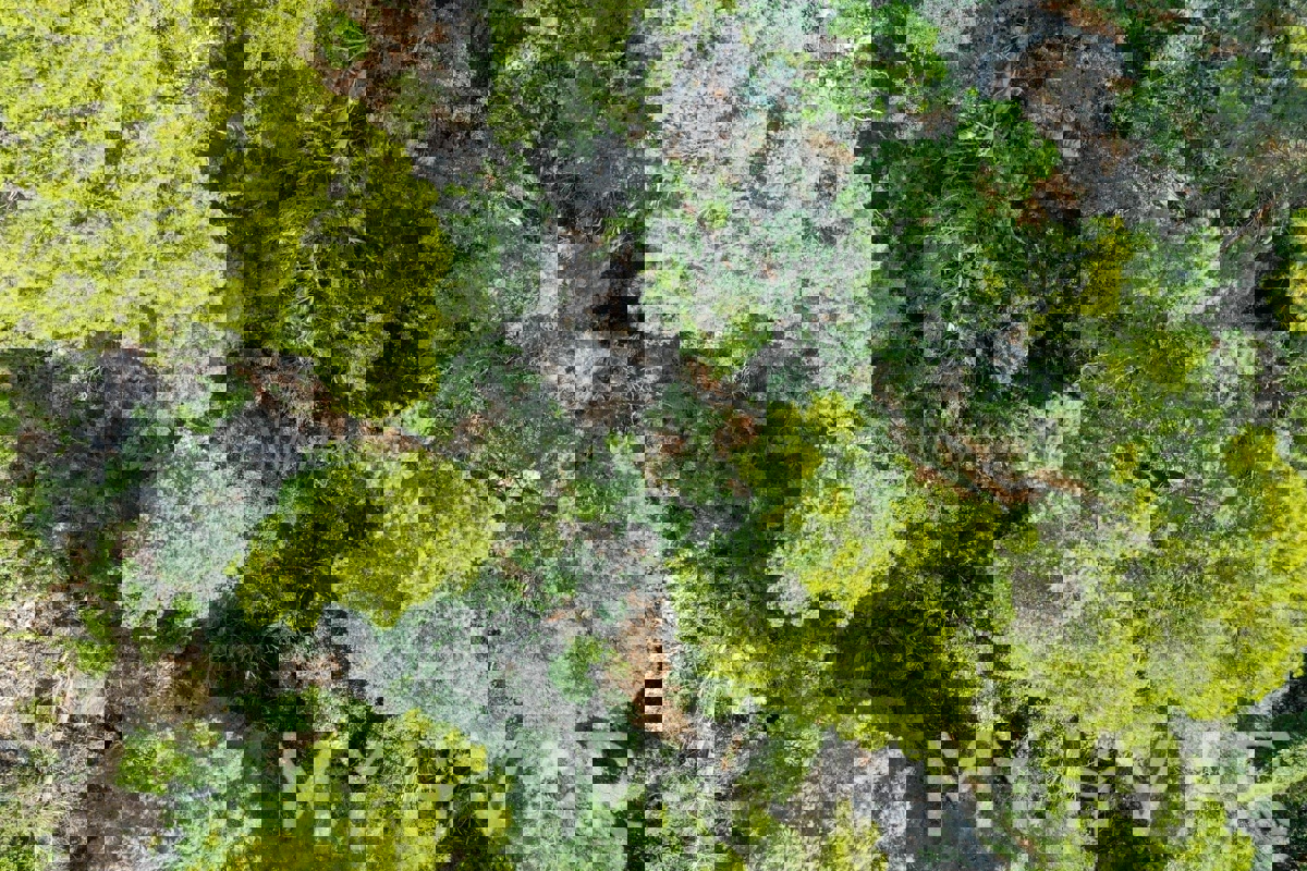 Kmetijska zemljišča v bližini trajektnega pristanišča