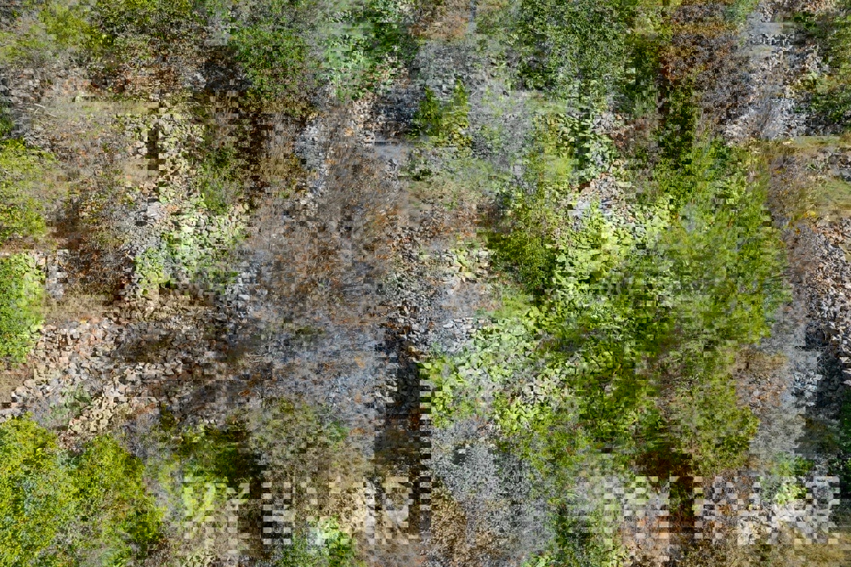 Kmetijska zemljišča v bližini trajektnega pristanišča