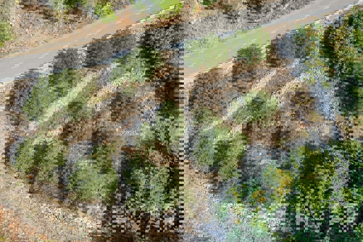 Kmetijska zemljišča v bližini trajektnega pristanišča