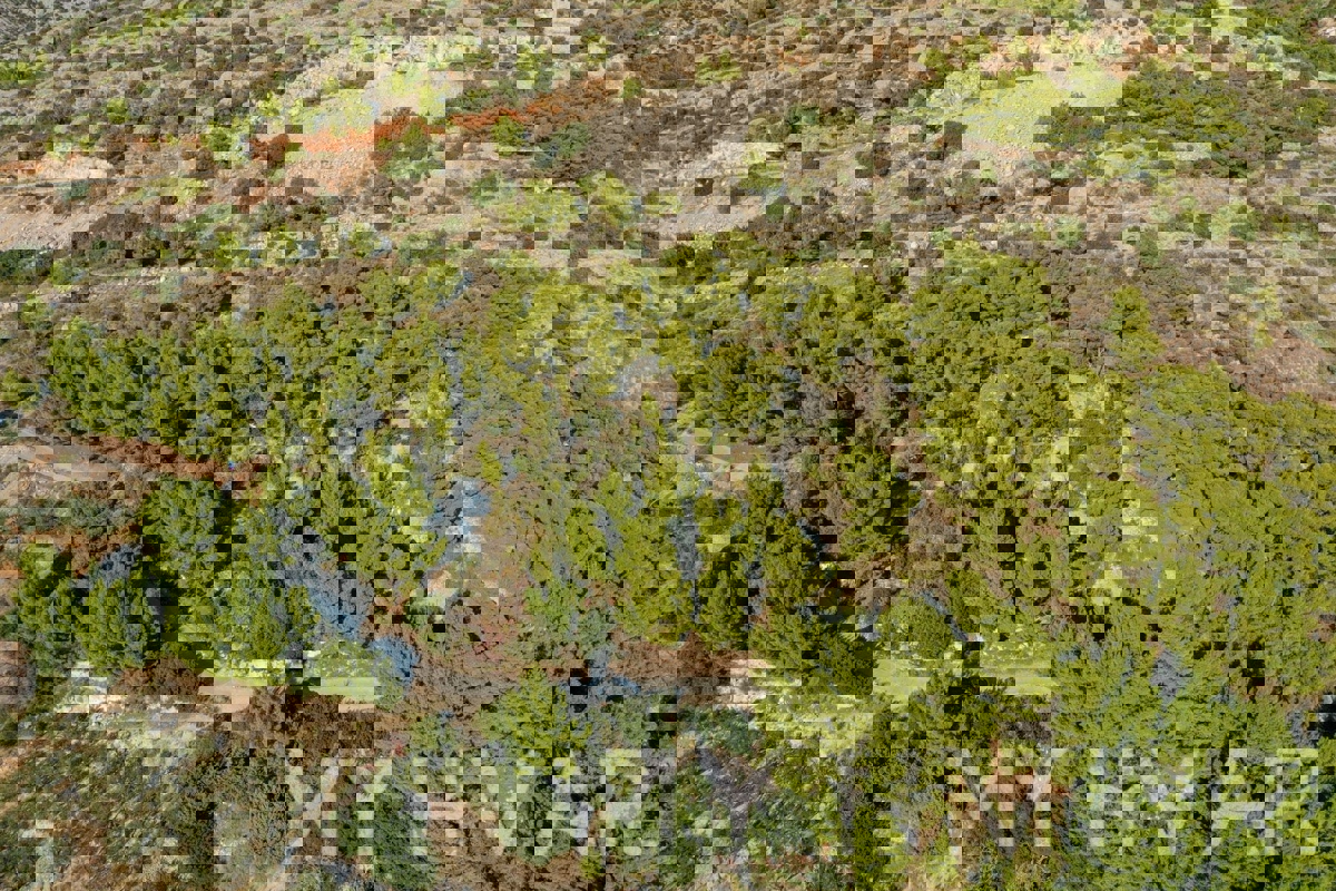 Zemljišče s projektom in pogledom na morje