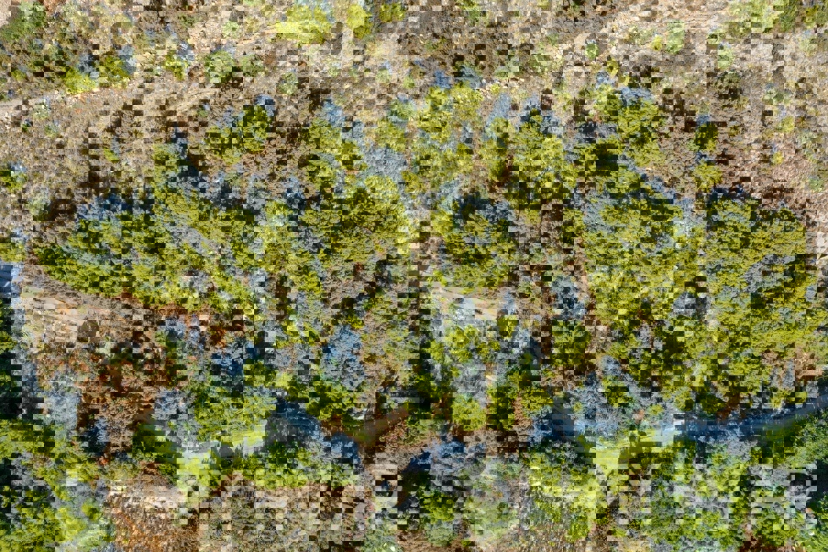 Zemljišče s projektom in pogledom na morje