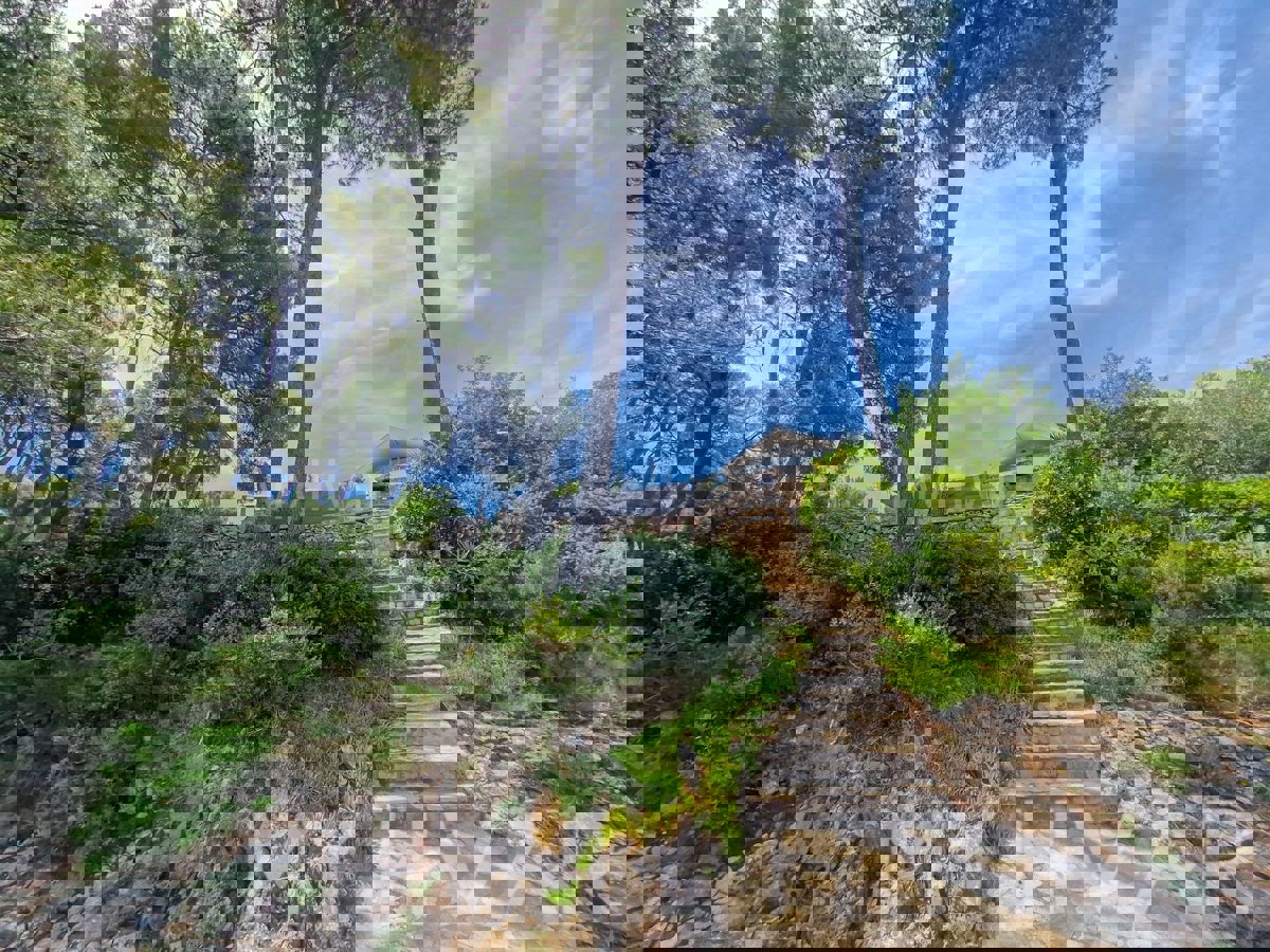 Edinstvena hiša v prvi vrsti do morja v Jelsi/Vrboski