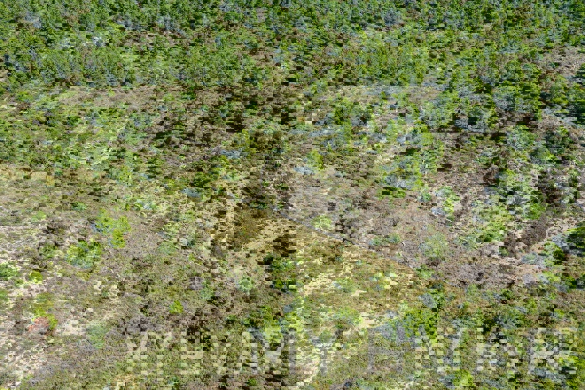 Zemljišče s panoramskim razgledom in hišo