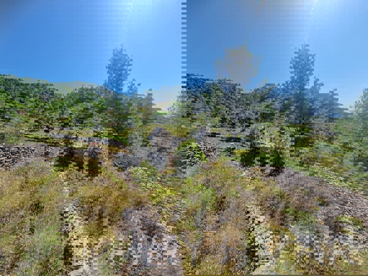 Zemljišče s panoramskim razgledom in hišo