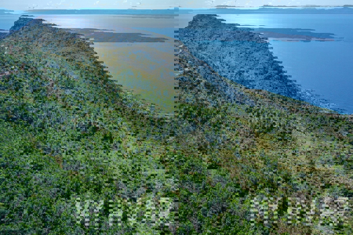 Zemljišče s panoramskim razgledom in hišo