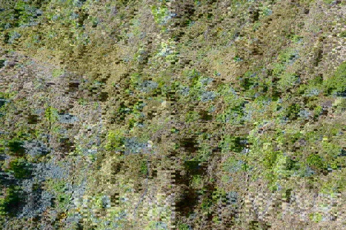 Zemljišče s panoramskim razgledom in hišo