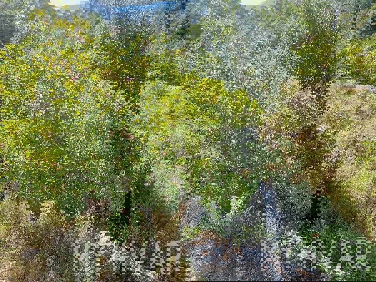 Zemljišče s panoramskim razgledom in hišo