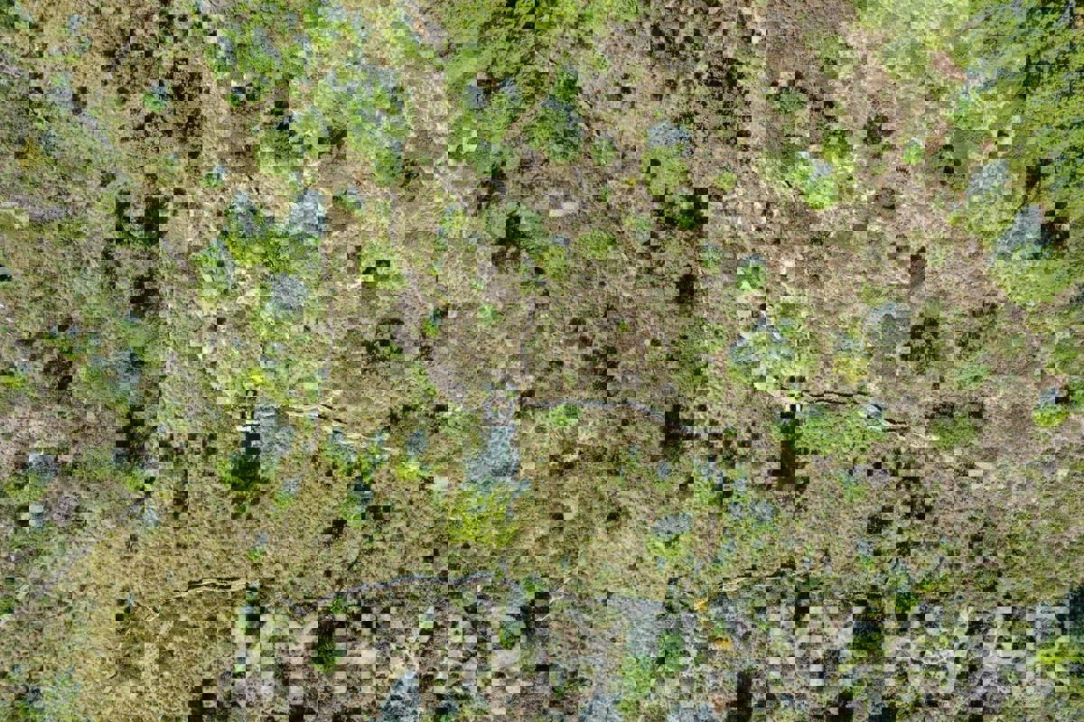 Zemljišče s panoramskim razgledom in hišo