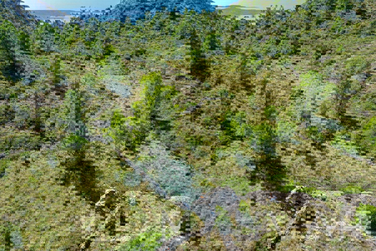 Zemljišče s panoramskim razgledom in hišo