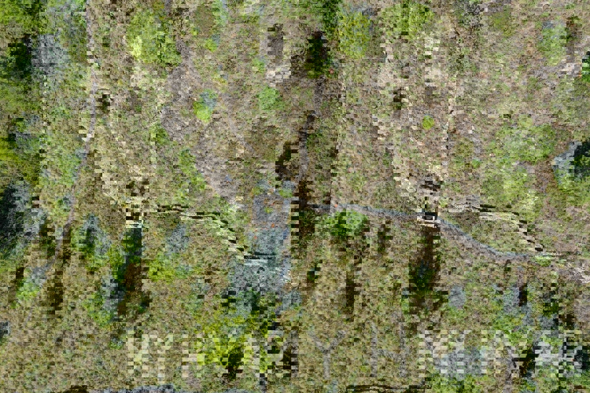 Zemljišče s panoramskim razgledom in hišo