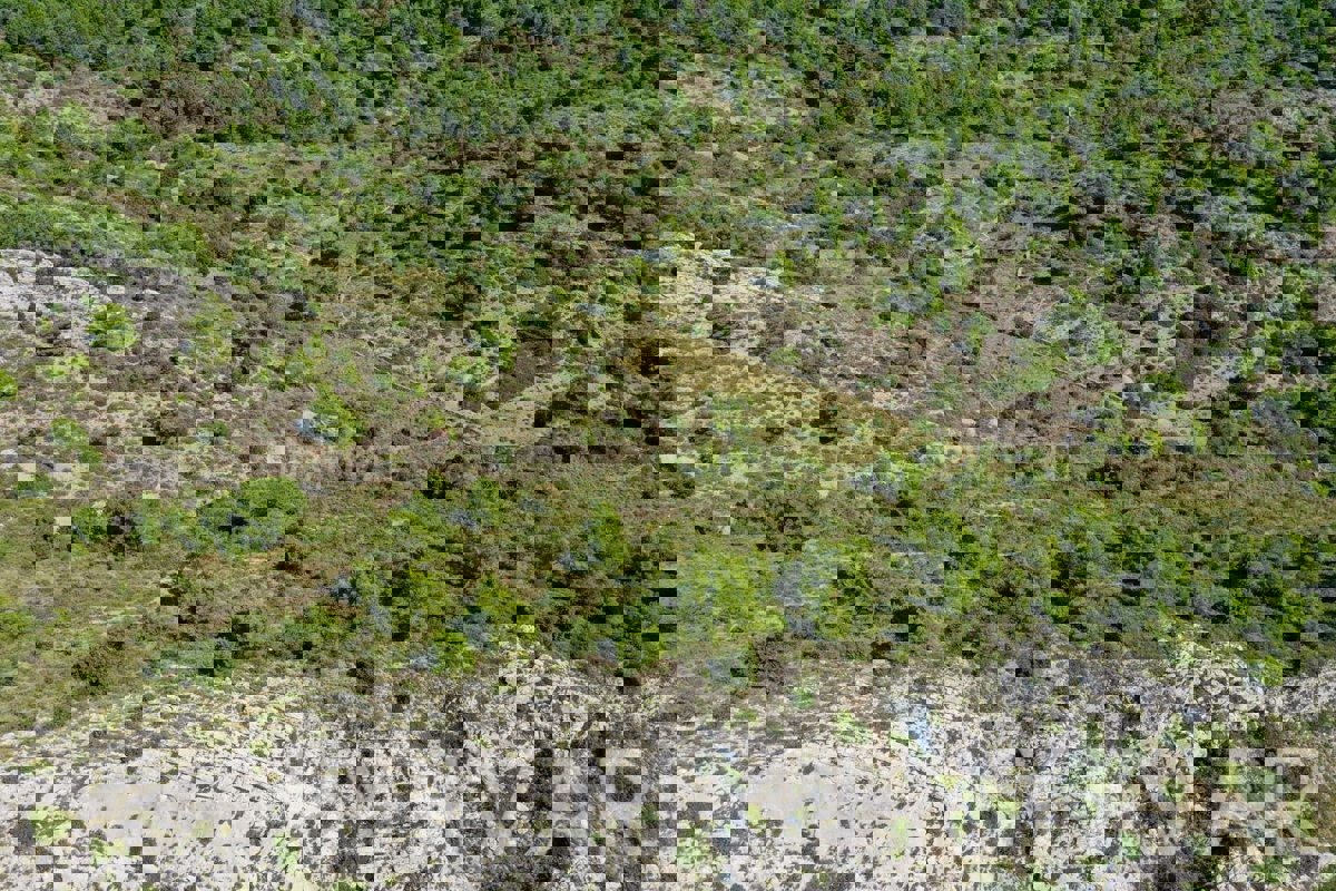 Zemljišče s panoramskim razgledom in hišo