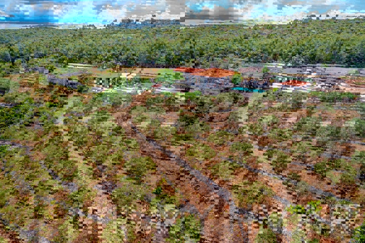 Vila z bazenom in pogledom na morje v Gdinju