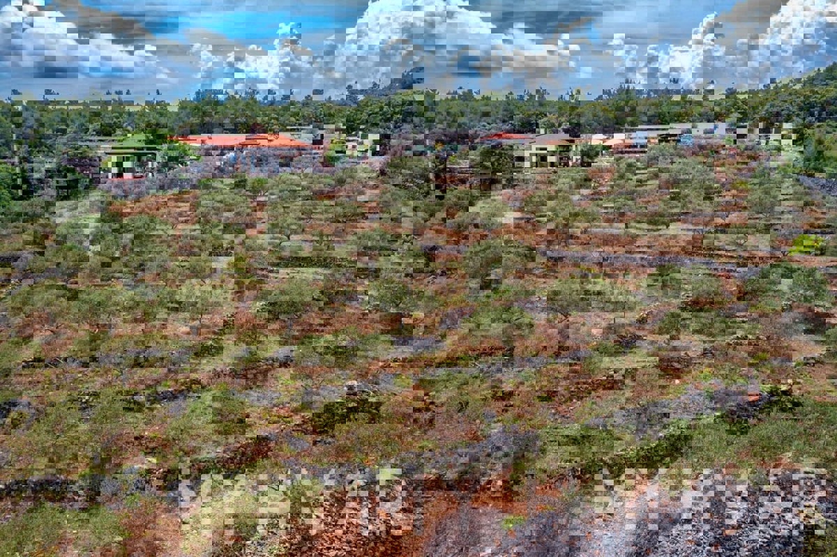 Vila z bazenom in pogledom na morje v Gdinju