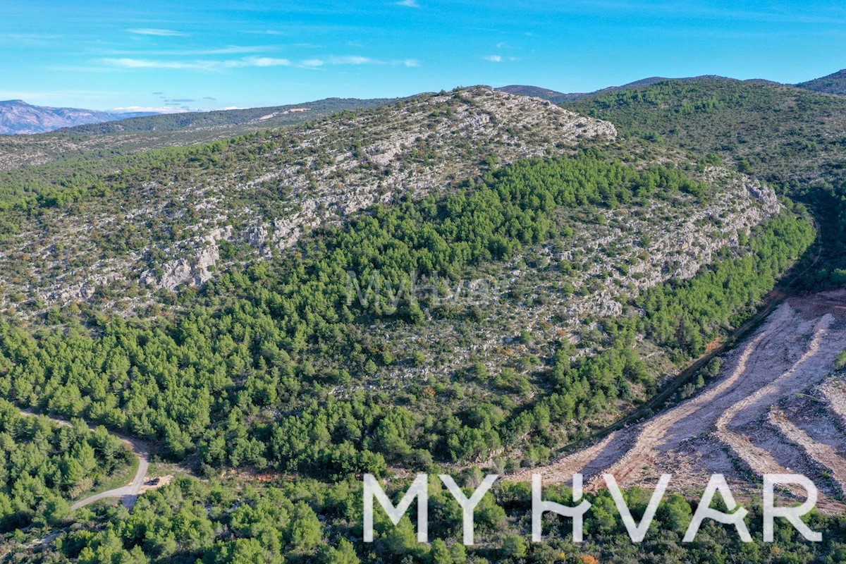 Zemljišče Pribinja v bližini mesta Hvar