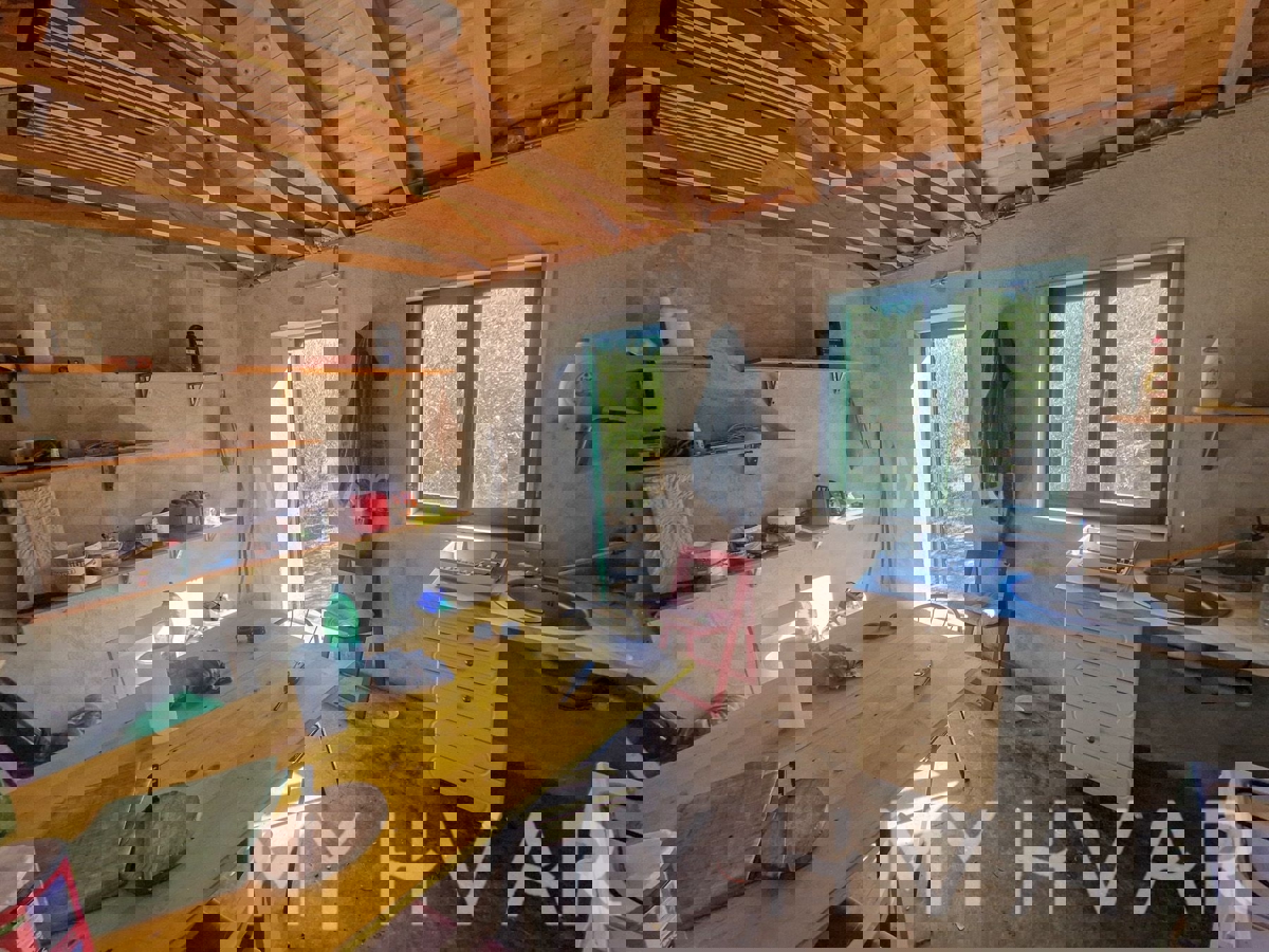 Oljčni nasad s pogledom na morje v Jelsi