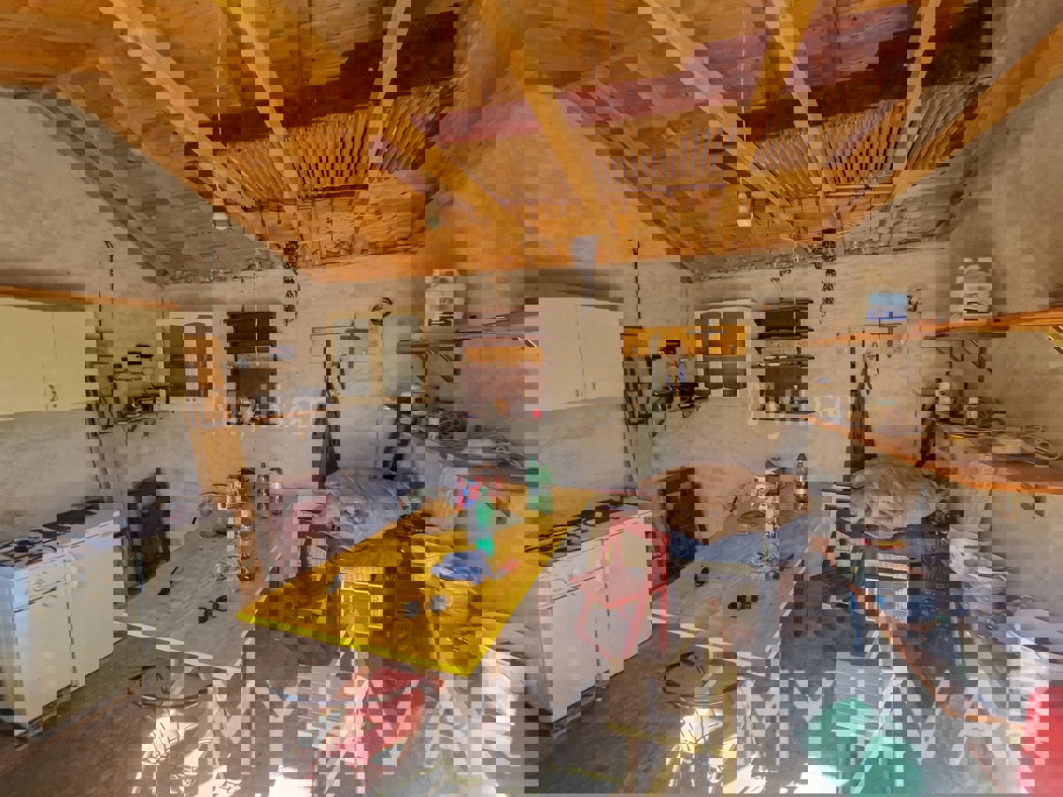 Oljčni nasad s pogledom na morje v Jelsi