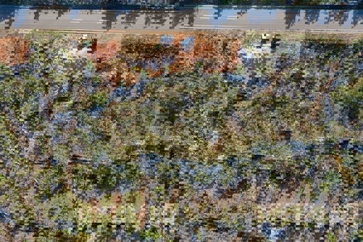 Oljčni nasad v bližini starega mestnega jedra