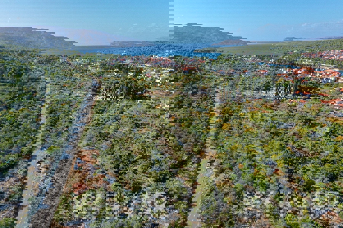 Oljčni nasad v bližini starega mestnega jedra