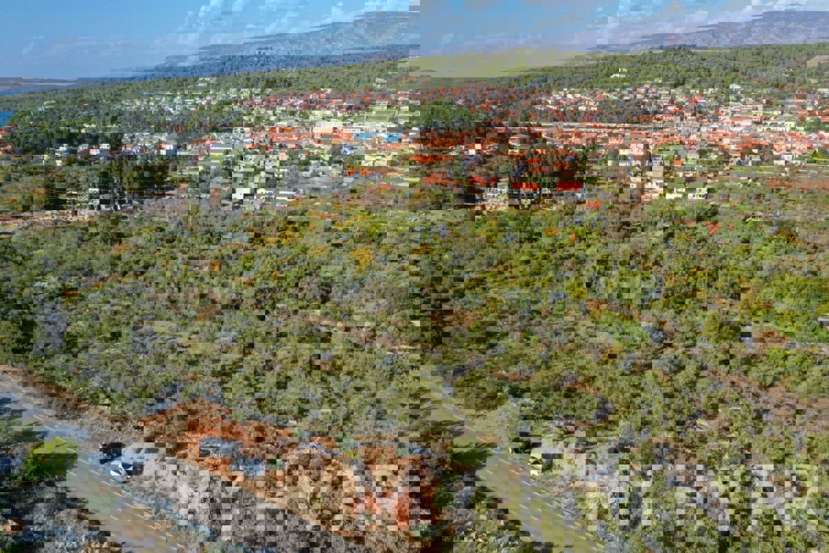 Oljčni nasad v bližini starega mestnega jedra