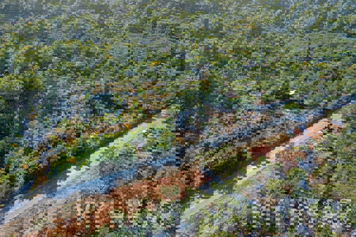 Oljčni nasad v bližini starega mestnega jedra