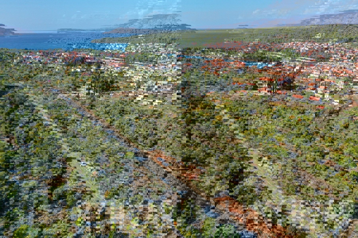 Oljčni nasad v bližini starega mestnega jedra