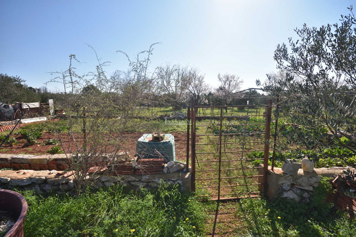 Vodice – Kmetijsko zemljišče z hišo, oljčnikom in pomožnimi objekti