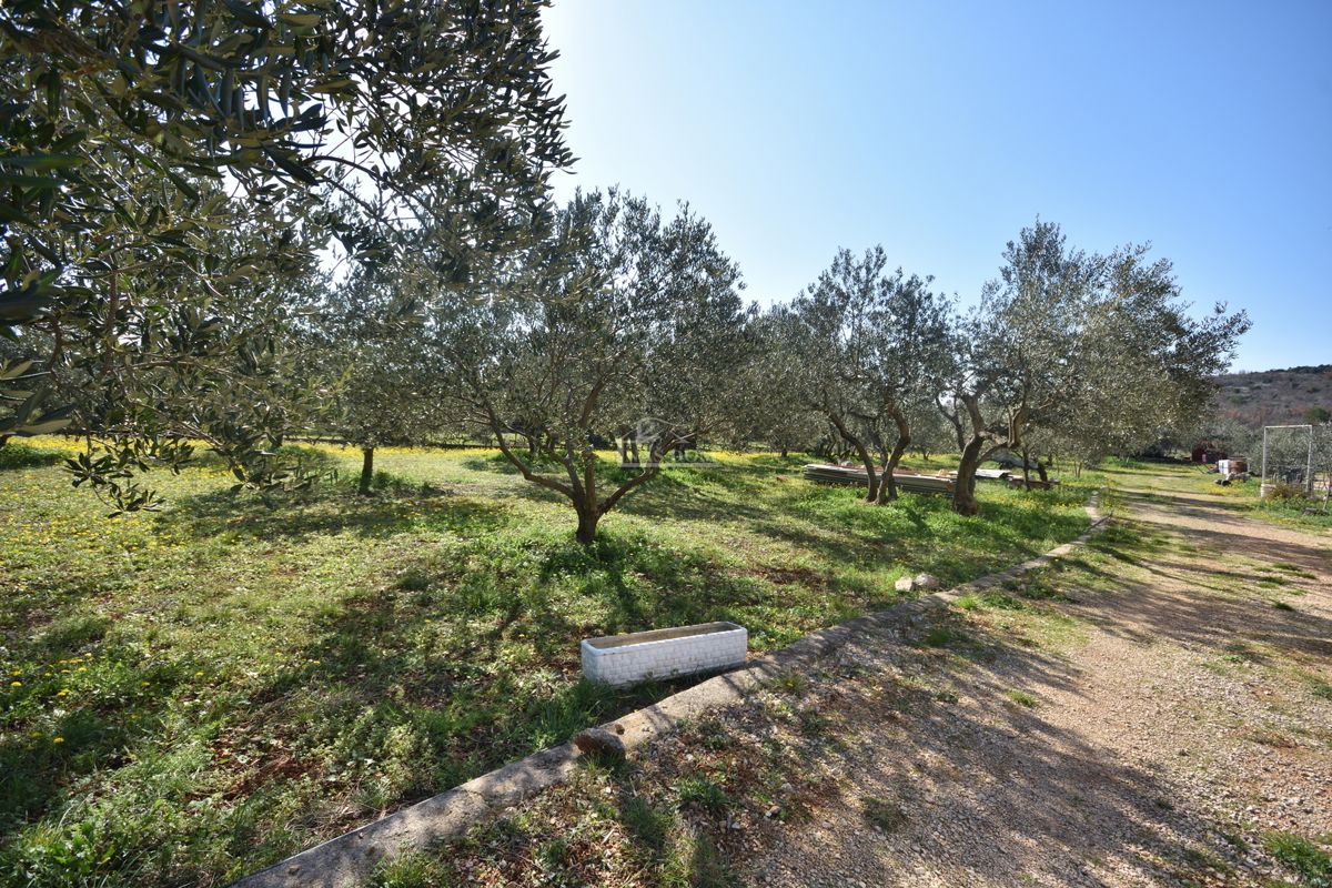 Vodice – Kmetijsko zemljišče z hišo, oljčnikom in pomožnimi objekti
