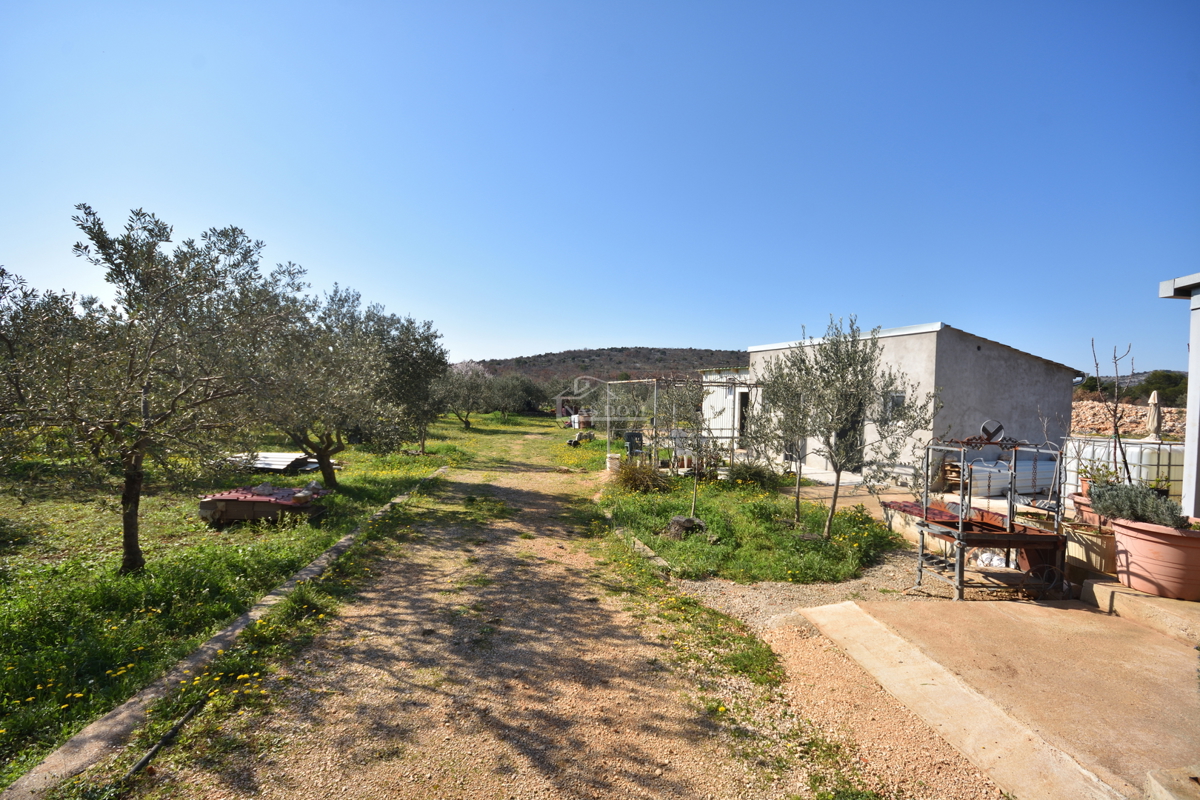 Vodice – Kmetijsko zemljišče z hišo, oljčnikom in pomožnimi objekti