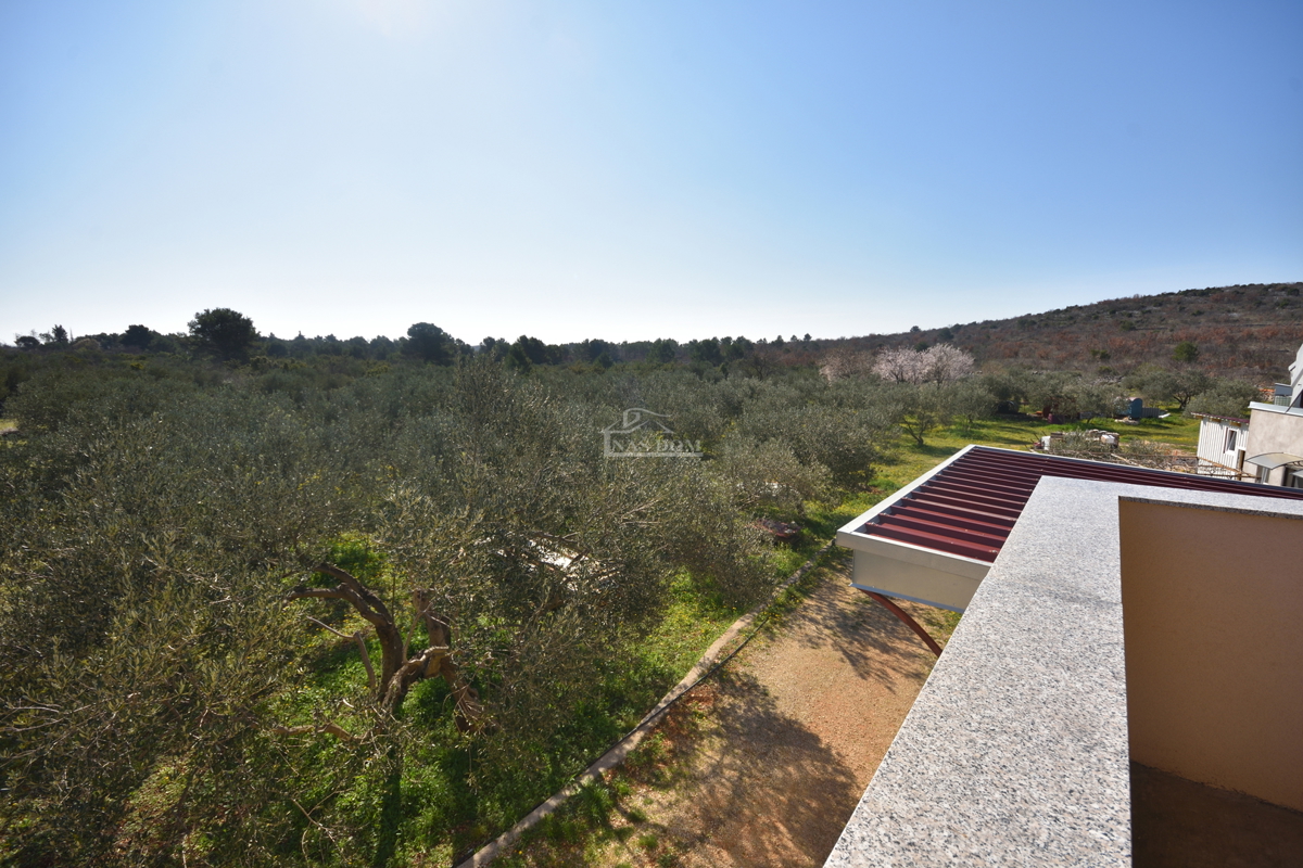 Vodice – Kmetijsko zemljišče z hišo, oljčnikom in pomožnimi objekti