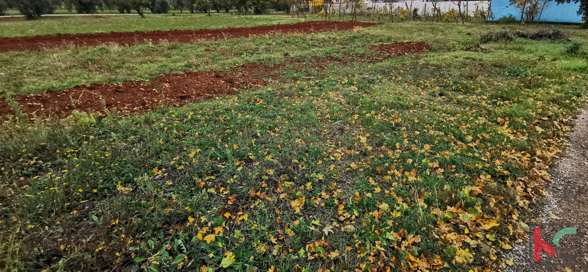 Pula, Busoler, zazidljivo zemljišče 603m2 pravilnega formata