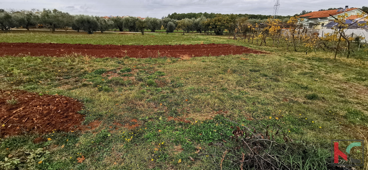 Pula, Busoler, zazidljivo zemljišče 603m2 pravilnega formata