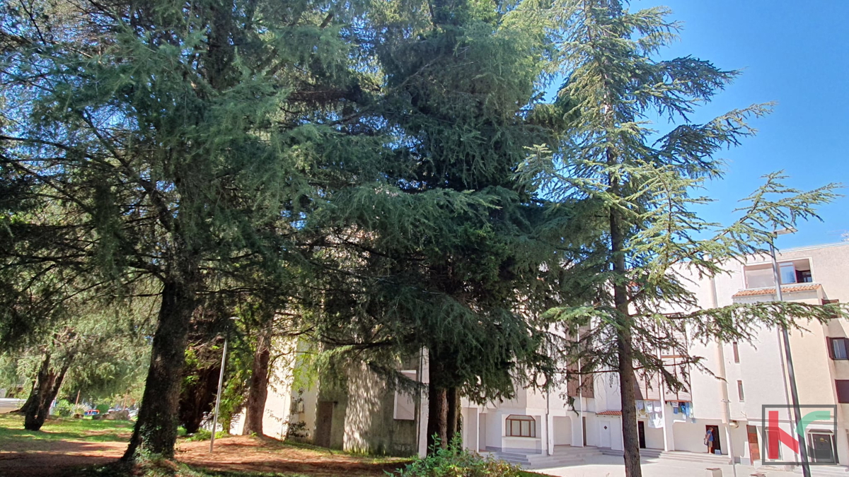 Poreč, Červar Porat, dvosobno stanovanje z galerijo, 100 metrov od morja #prodaja