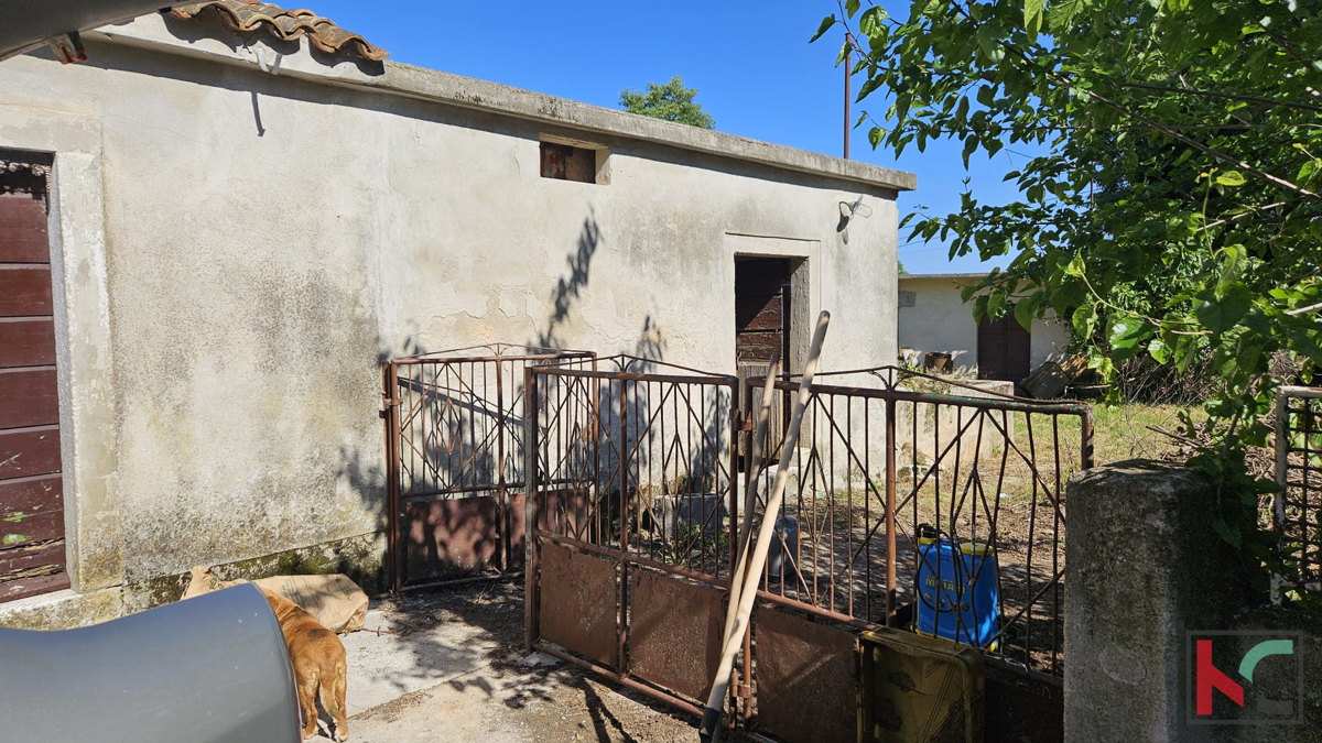 Barban, stara hiša za obnovo z velikim vrtom 1784m2 #prodaja