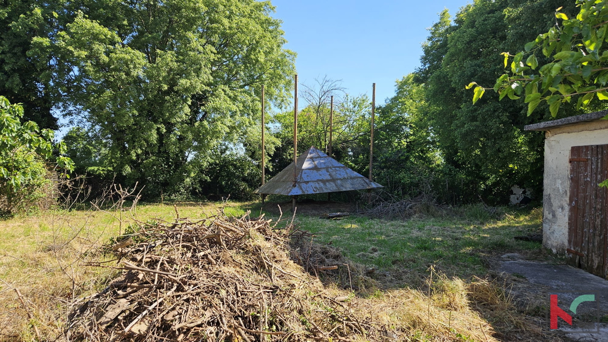 Barban, stara hiša za obnovo z velikim vrtom 1784m2 #prodaja