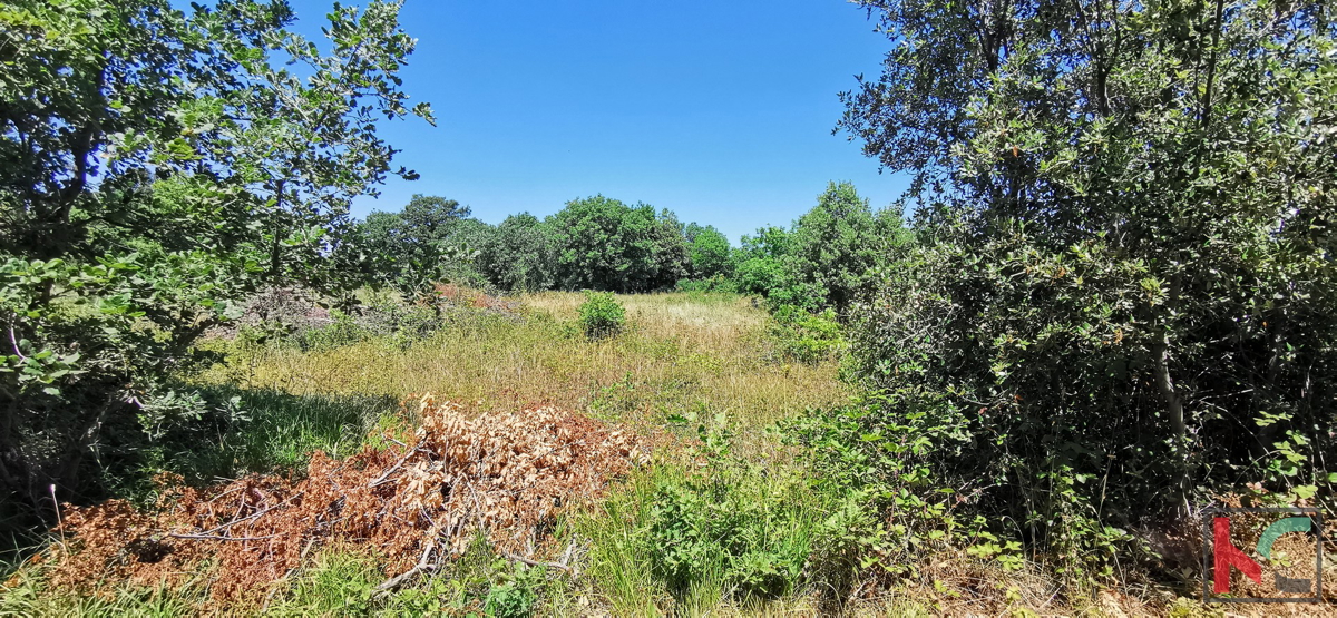 Istra, LIžnjan, Valtura, kmetijsko zemljišče 582m2
