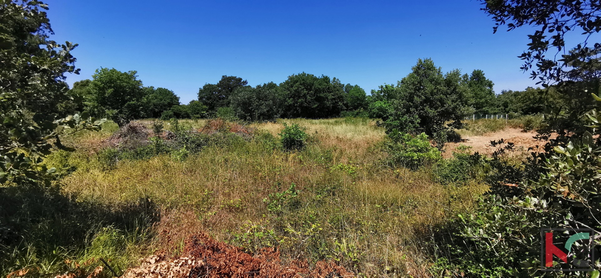 Istra, LIžnjan, Valtura, kmetijsko zemljišče 582m2