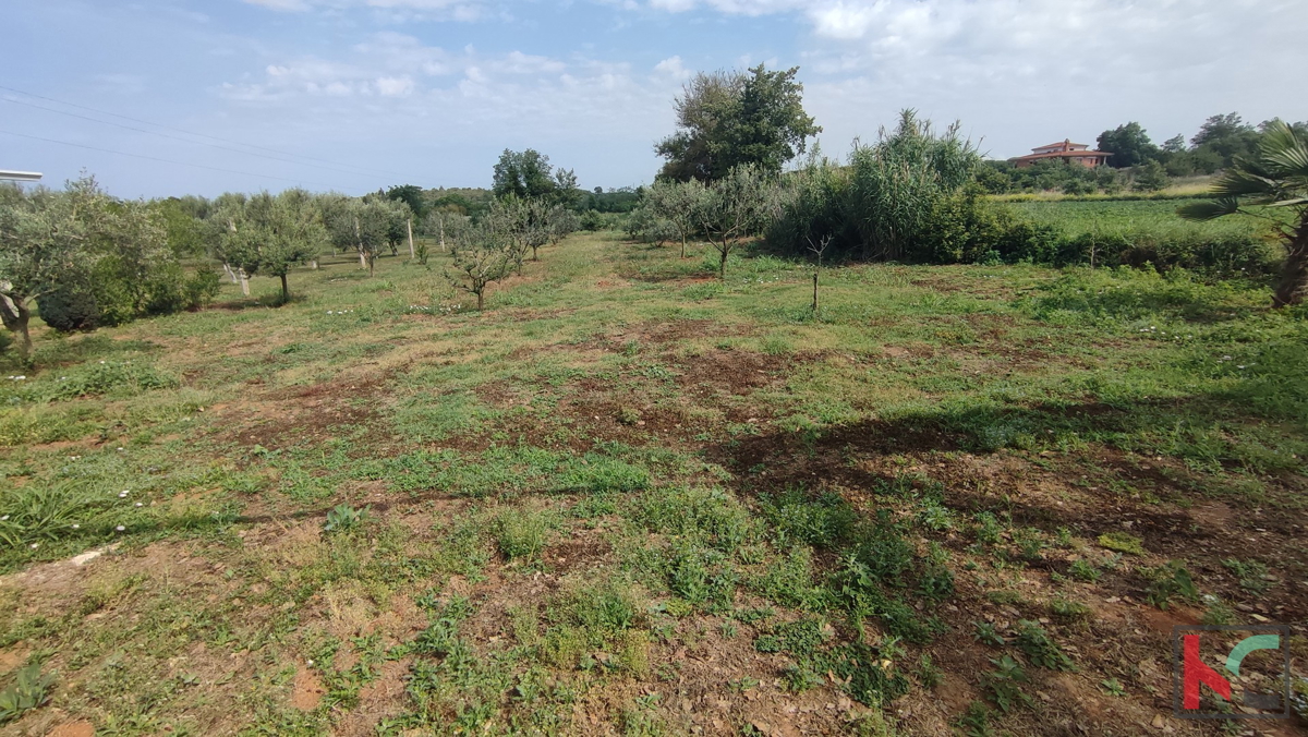 Istra, Šišan, nedokončana hiša na parceli 4824m2