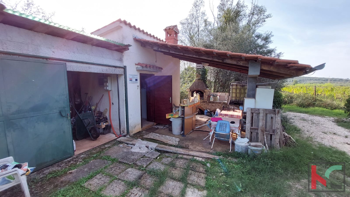Rovinj, legalizirana hiša z oljčnim nasadom in vinogradom na parceli 4471 m2 #prodaja
