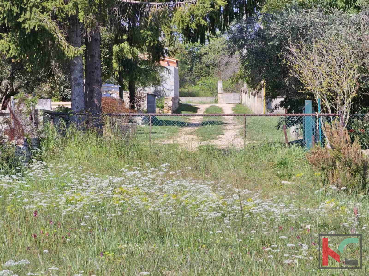 Istra, Peruški, kmetijsko zemljišče 3774m2 z legaliziranim objektom in pogledom na morje #prodaja