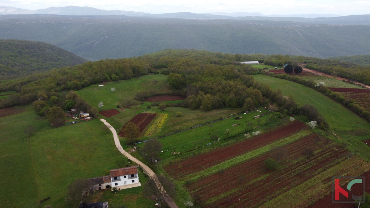 Istra - Barban, zemljišče z gradbenim dovoljenjem II plačana komunala, # ekskluzivna prodaja