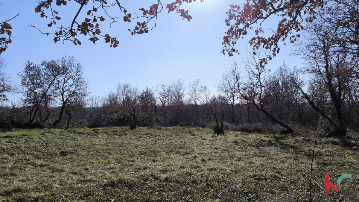 POREČ, OKOLICA, GRAĐEVINSKO ZEMLJIŠTE 1090 m2 #PRODAJA