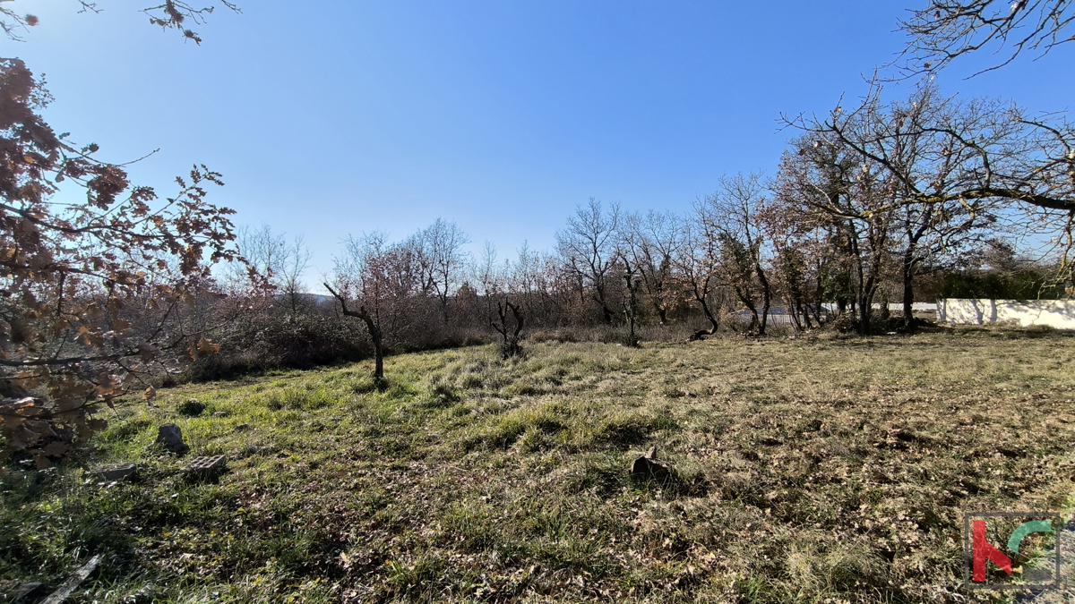POREČ, OKOLICA, GRAĐEVINSKO ZEMLJIŠTE 1090 m2 #PRODAJA