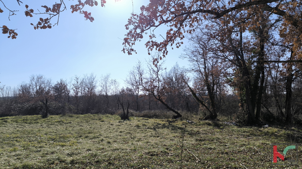POREČ, OKOLICA, GRAĐEVINSKO ZEMLJIŠTE 1090 m2 #PRODAJA