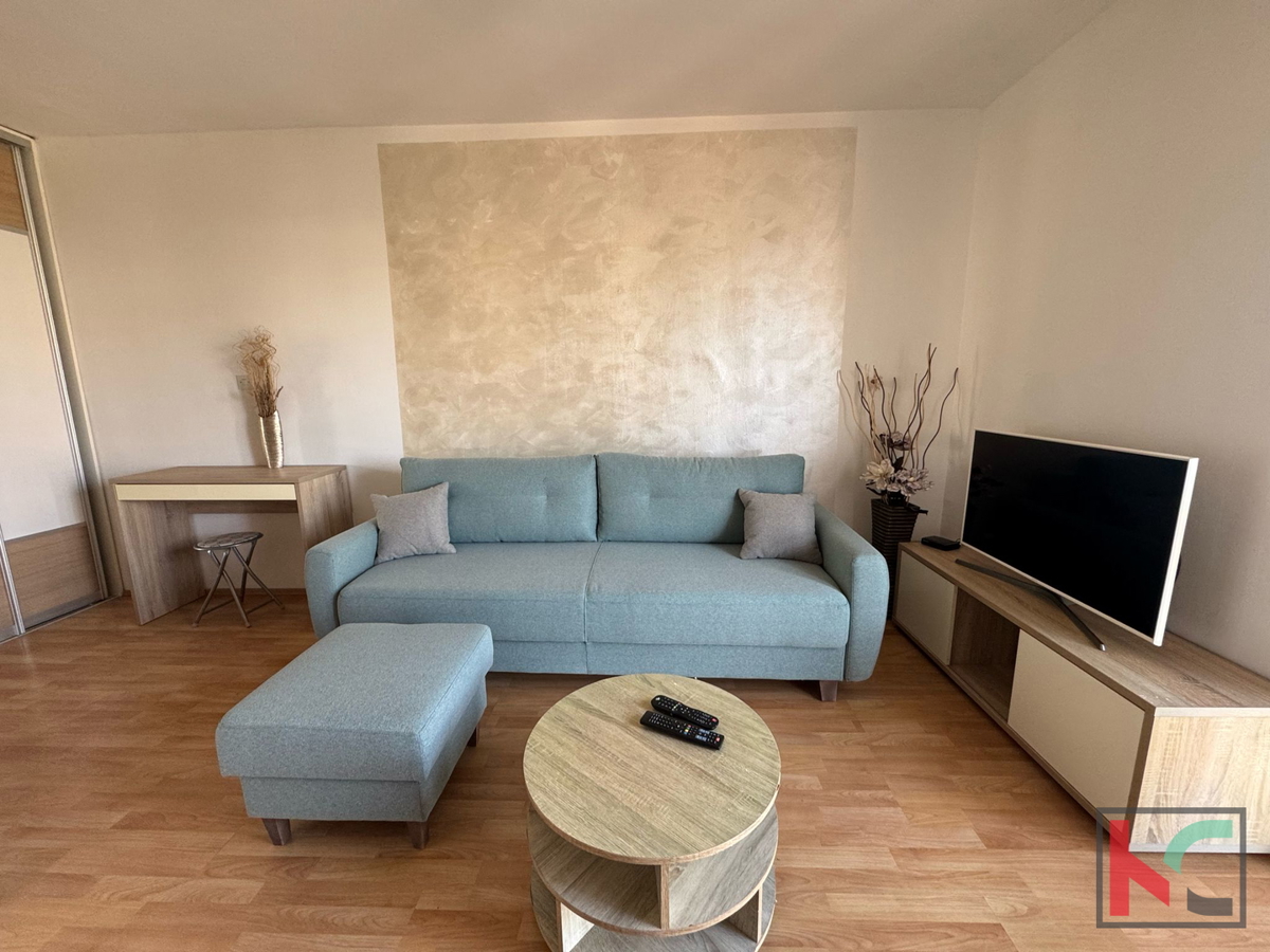 ISTRA, PULA, STOJA, STAN V 5 MINUTAH OD MORJA