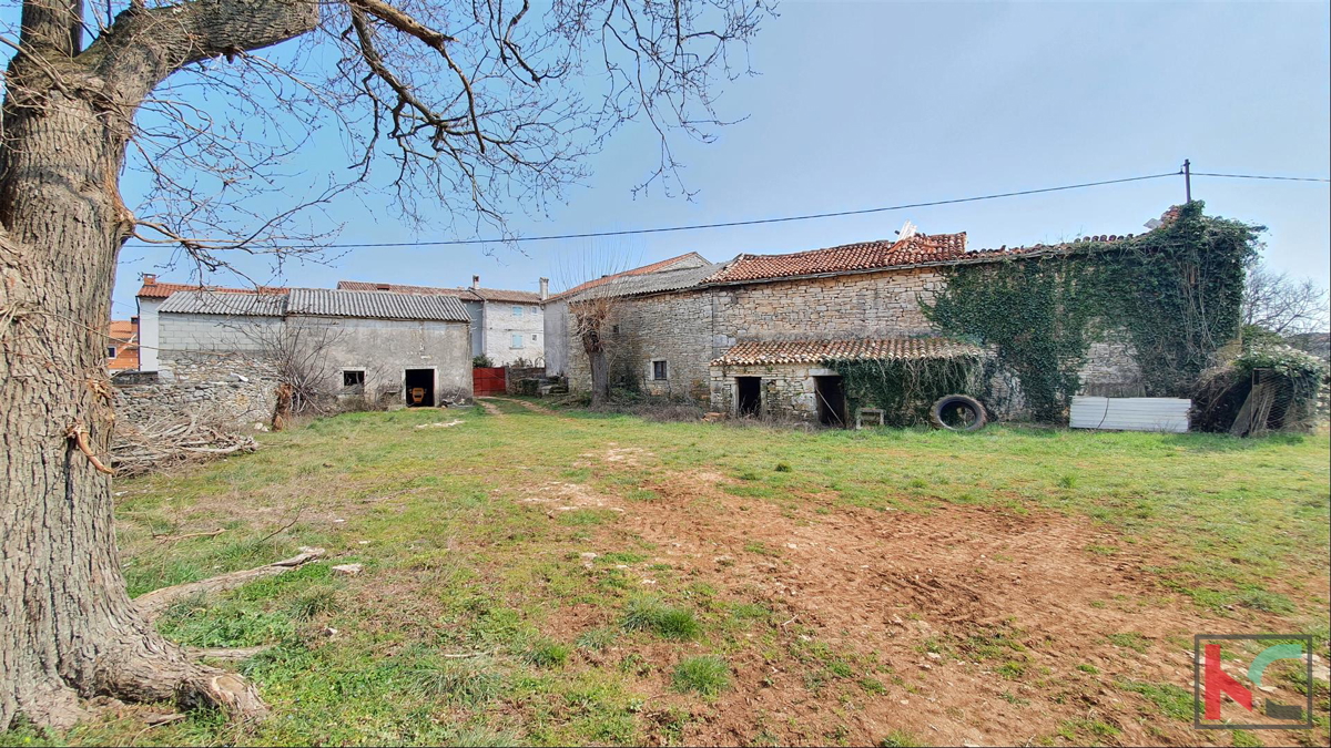 Istra - Barban, 4 stare hiše na prostornem vrtu