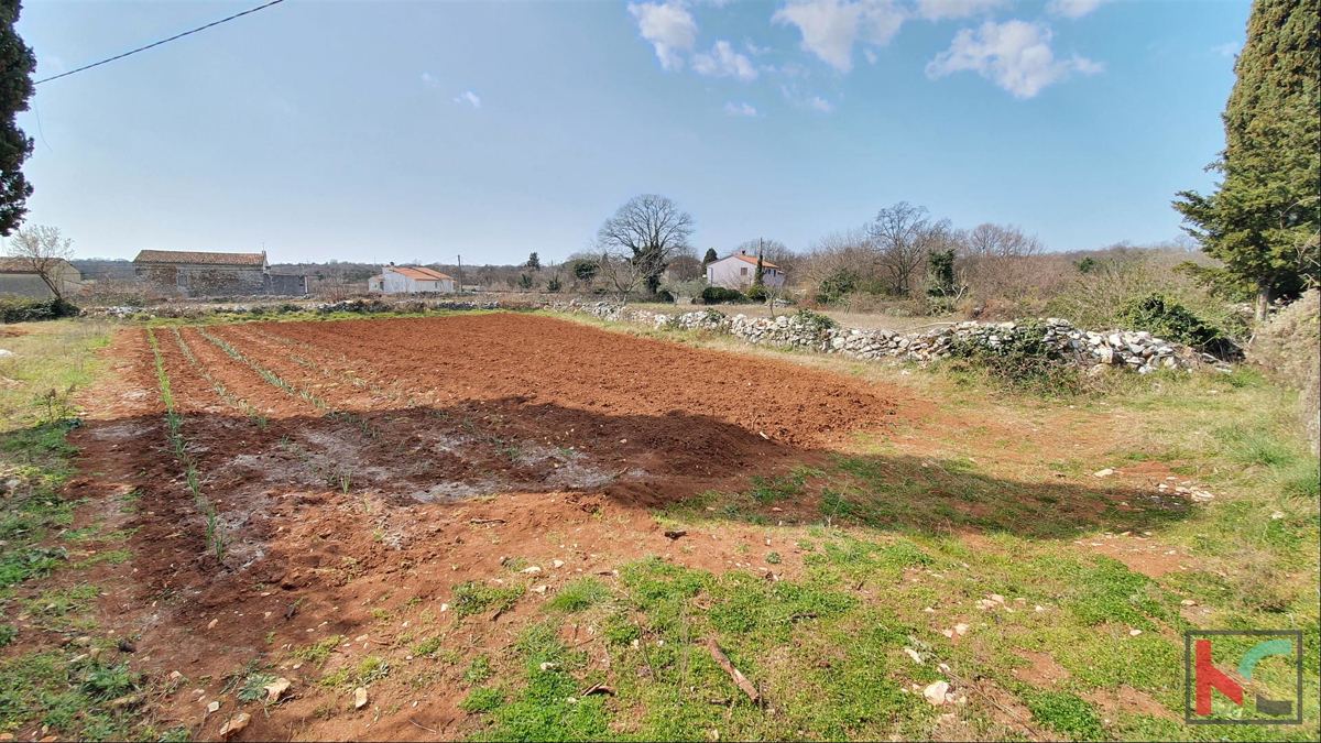 Istra - Barban, 4 stare hiše na prostornem vrtu