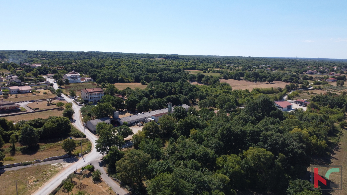 Istra, Kanfanar, atraktivne podeželske hiše za dopust, priložnost za investicijo